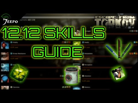 Escape from Tarkov 12.12 - Advanced Strength & Endurance Guide - Quick & Easy MAX LEVELS