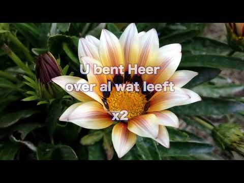 Opwekking 669 Heer van de eeuwigheid