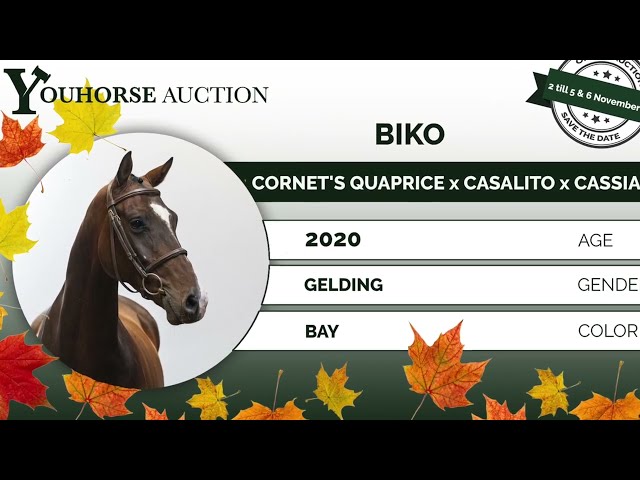 Biko trainingsvideo