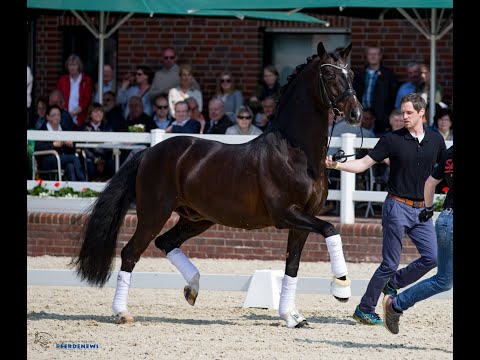 DIAMOND HIT auf dem Tag der offenen Tür 2018