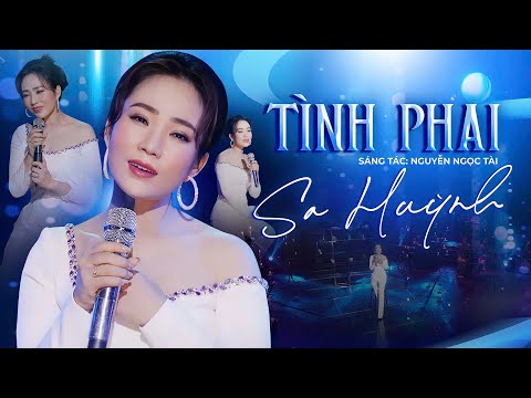 Ca khúc dành cho người đang buồn vì tình yêu: TÌNH PHAI | Sa Huỳnh - Tác giả: Anh Bằng - Bolero 2025