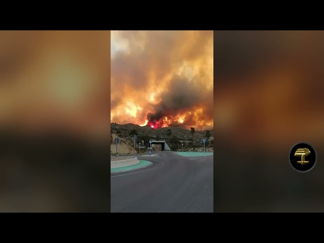 Devastadores incendios arrasan Los Gallardos, en Almería