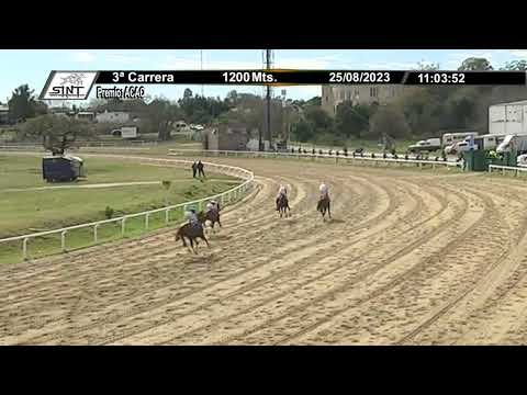 230825 c03 - 1° MANHATTAN  - SINT COLONIA