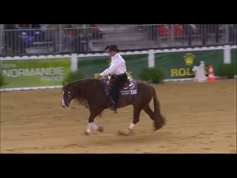 Jeux équestres mondiaux : la prestation d'Andrea Fappani en reining