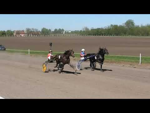 Trka "Saphir A.T." 09.05.2021 Faun P.S. - Nemanja Mašić