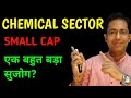 India S Hidden Chemical Gem Small Cap With Massive Potential