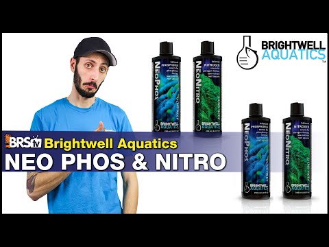 Struggling With Low Nitrates & Phosphates in Your Reef Tank? Brightwell NeoNitro & NeoPhos Is Here!