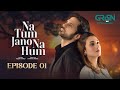 Na Tum Jano Na Hum Episode 01 Hassan Khan Hina Tariq Green TV Entertainment