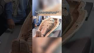 Opening a 2,500-Year-Old Mummy Coffin