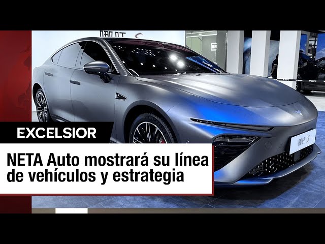 NETA Auto: Apuestan a la paciencia