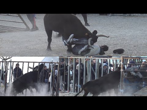 MEYNES COURSE AU PLAN 28.01.2023