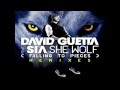 David Guetta ft Sia She Wolf (Extended) HD 