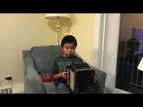 David Plays the Accordion