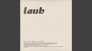 Laubfrosch Remix