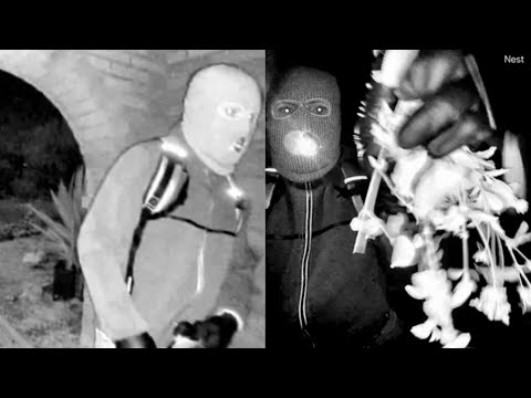 Man detained in Guthrie kidnapping case after door cam footage released