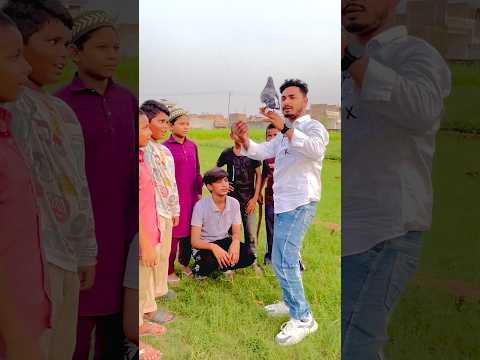 Iske Ball Lag Gyi 🕊️🎾😱 #pigeon #kabutar #shorts #viralvideo #youtubeshorts
