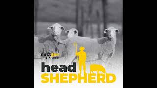 Breeding better sheep at Moojepin Merinos with Hamish Thompson
