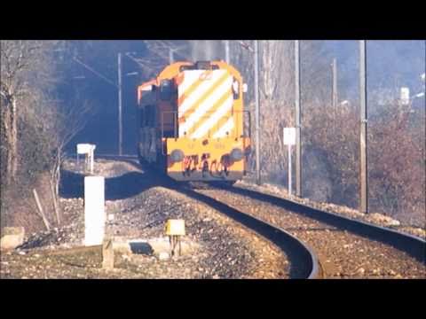Comboio Especial n.º 13838 (PTG) - Carvalhos de Figueiredo