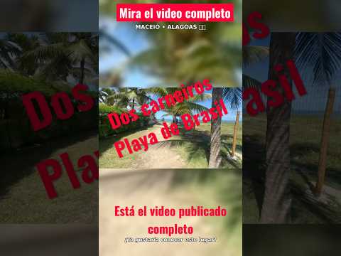 Dos carneiros playa tamandare #brasil #turismo #tamandaré