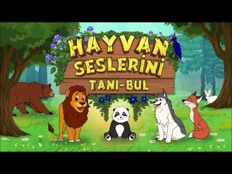 Animal Sounds Learn-Find Game Video