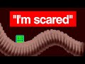 Can YOU Survive Geometry Dash S Scariest Levels