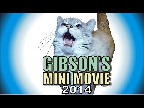 Gibson's Mini Movie - 2014