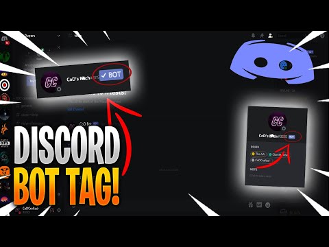 How To Download A Discord Bot - 07/2021