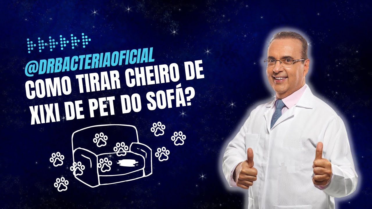 Como tirar cheiro de xixi de pet do sofá? Aprenda!