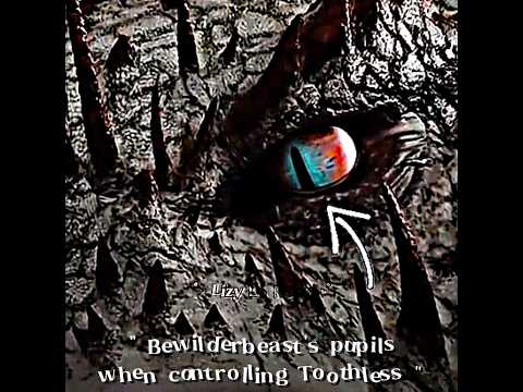 𝘛𝘰𝘰𝘵𝘩𝘭𝘦𝘴𝘴 𝘵𝘳𝘺𝘪𝘯𝘨 𝘵𝘰 𝘤𝘰𝘯𝘵𝘳𝘰𝘭 𝘵𝘩𝘦 𝘉𝘦𝘸𝘪𝘭𝘥𝘦𝘳𝘣𝘦𝘢𝘴𝘵 ?