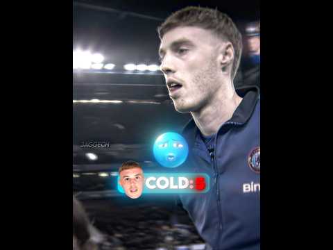 Palmer Revenge ❄️