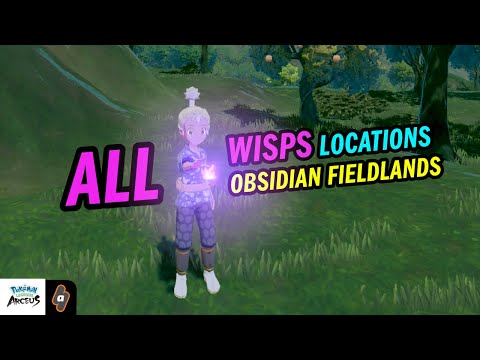 ALL 20 Purple Flames (wisps) in Obsidian Fieldlands | Pokémon Legends Arceus
