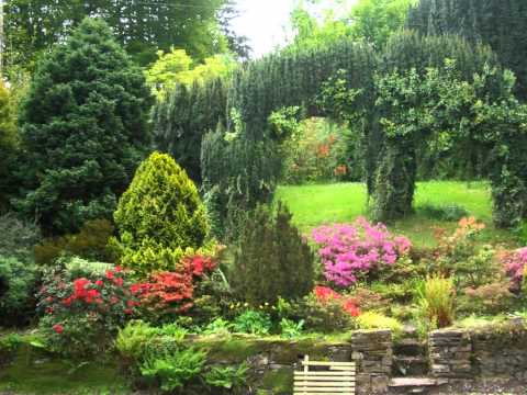 Klementyna Umer "Sekretne sny" z "Tajemniczego ogrodu"