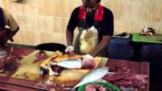 Fish Market - Maldives