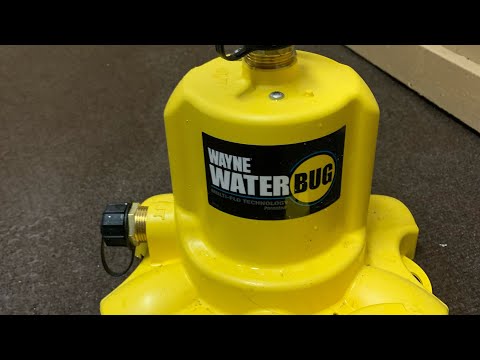 Wayne WaterBug Pump Review