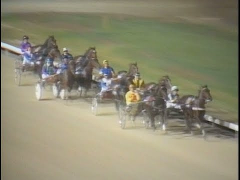 Harness Racing,Albion Park-19/04/1986 Inter-Dominion Grand Final (Village Kid-C.Lewis)