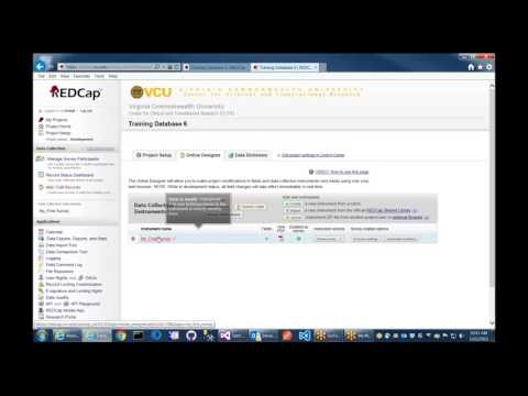 REDCap Data Export Tool