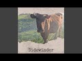 Sidewinder