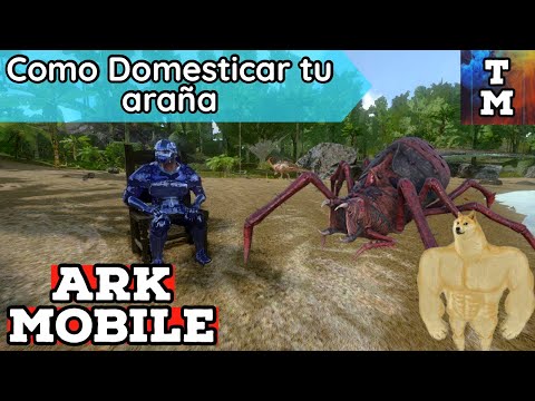 COMO TAMEAR TU ARANEO | Guía español | ARK MOBILE
