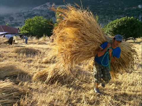 Burçak Tarlası-RUHİ SU