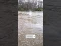 ️ Atomic Rc Boat River Run Shorts Rcboat Rc River Slowmotion