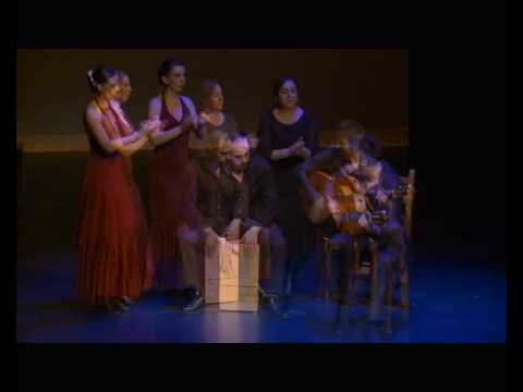 Paloma - Bulerias Solo - Florian.wmv