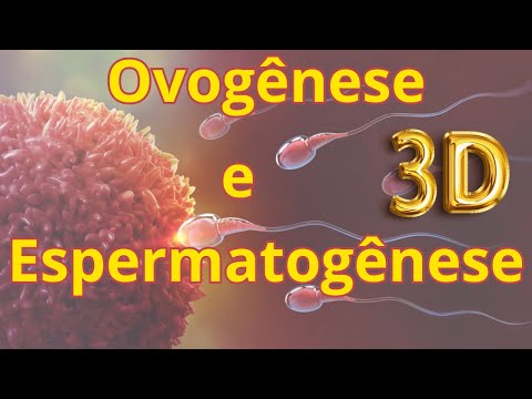 Entendendo a Ovogênese e Espermatogênese: Uma Análise Fisiológica e Histológica