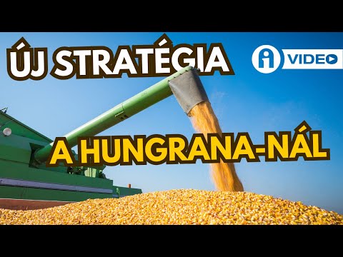 Mi vár a kukoricára 2025-ben?