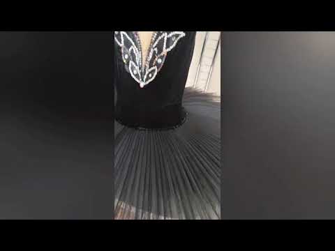 Lebada neagra P 0115 - video 5