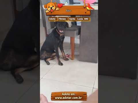 Vídeo de kira