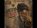 Ancient Echoes 🌿 Unreleased 1970s Roots Reggae Album | Lost Vintage Reggae Classics