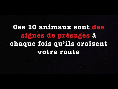 Ces 10 animaux sont des signes de présages à chaque fois qu’ils croisent votre route