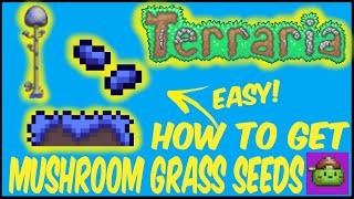 How To Get Mushroom Grass Seeds In Terraria | Terraria 1.4.4.9