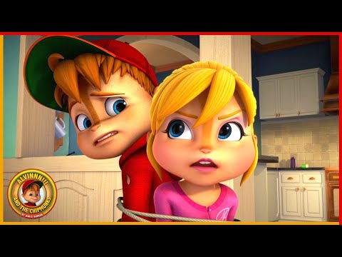 A Batalha Na Minha Área | ALVINNN!!! E OS ESQUILOS | 45' Compilação