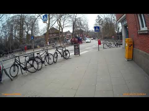Hamburg: Pferdekutsche # 25.3.2018